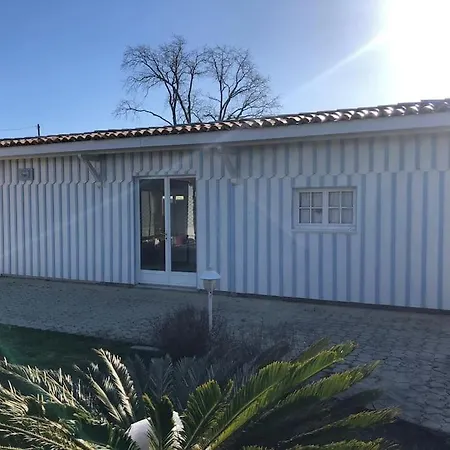 Livaj Moderne Piscine Chauffee Gujan-Mestras