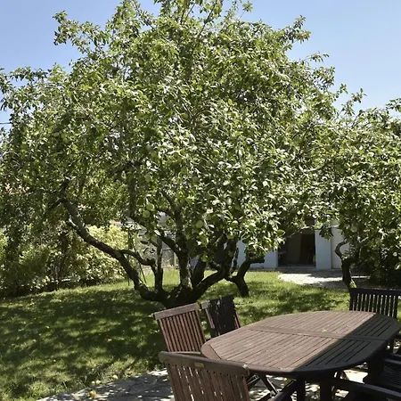 Villa Livaj Moderne Piscine Chauffee